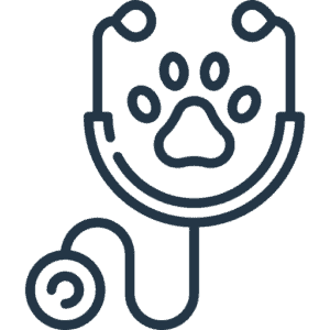 stethoscope